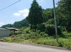 田羽根